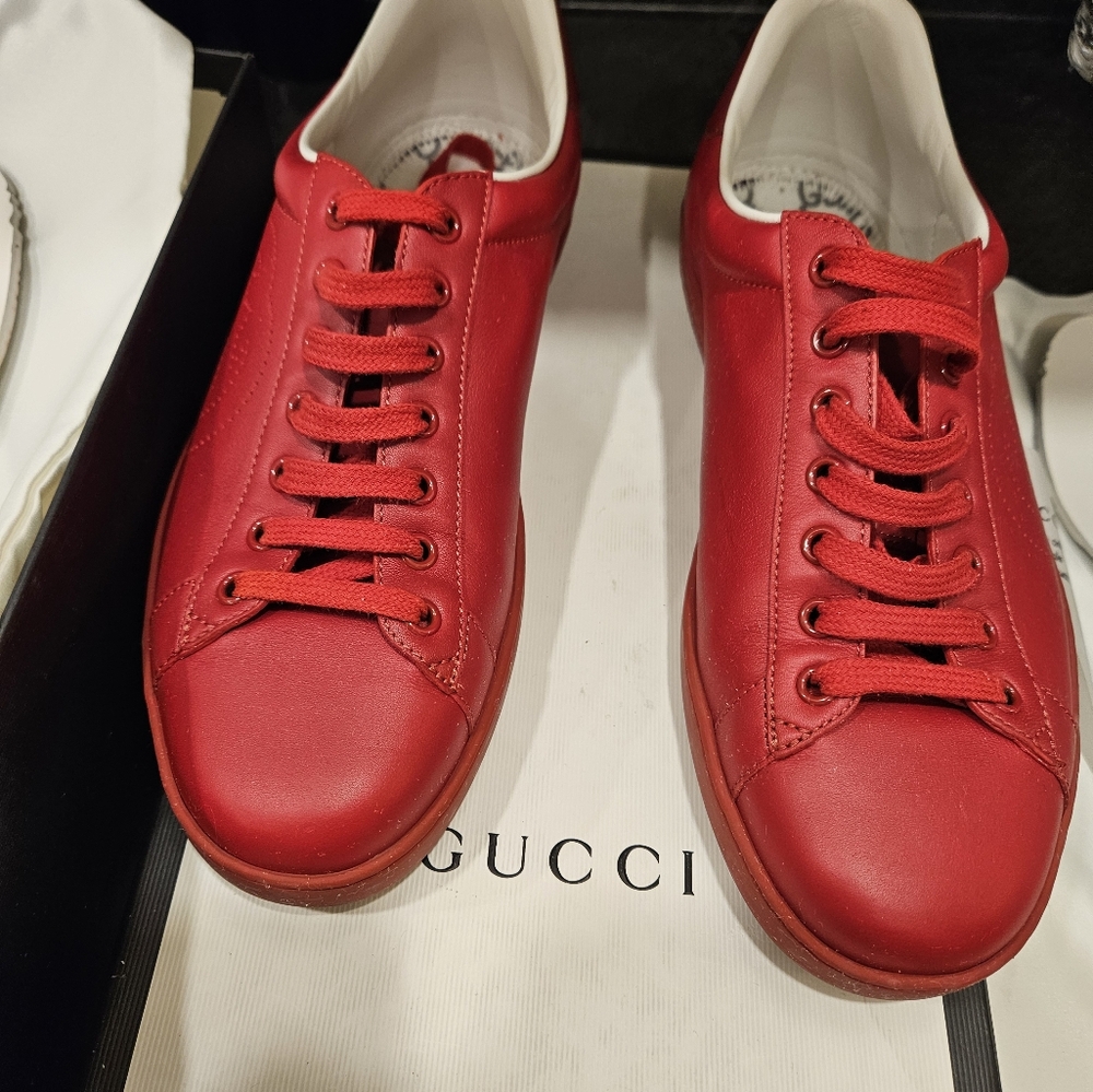 Authentic Gucci Ace Low Top Sneakers